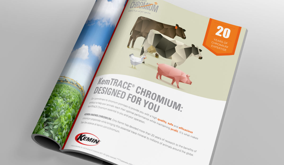 Kemin Animal Nutrition & Health | Lessing-Flynn